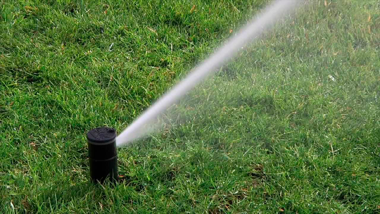 Diseños Personalizados